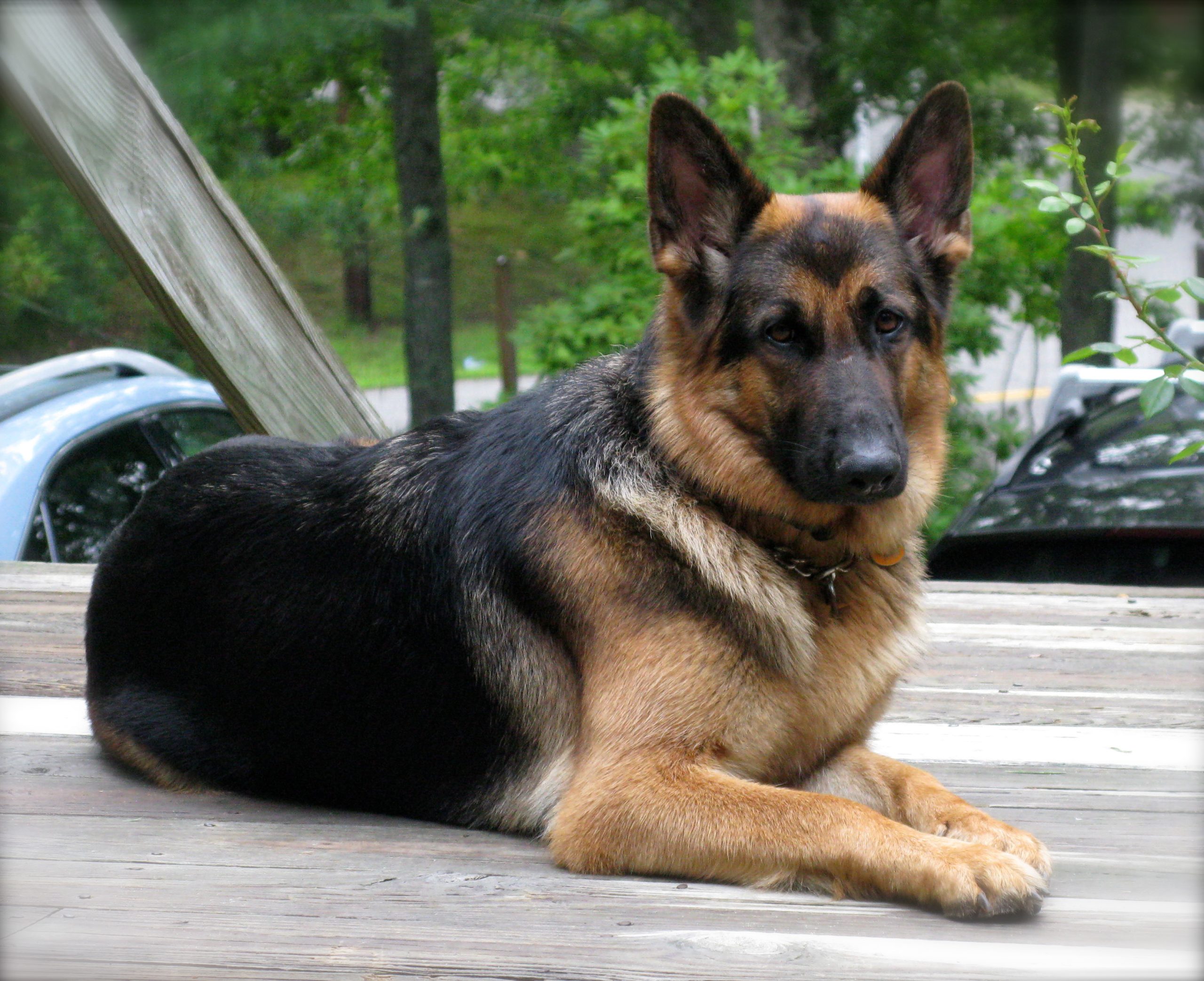 Kenda_5362