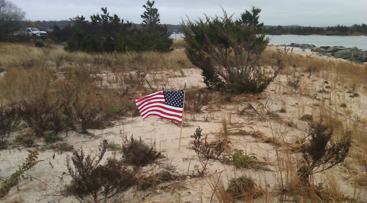 Flag on Beach