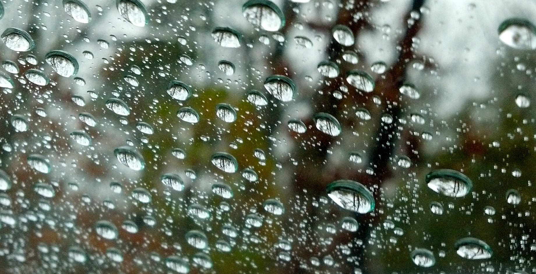 Rain Drops