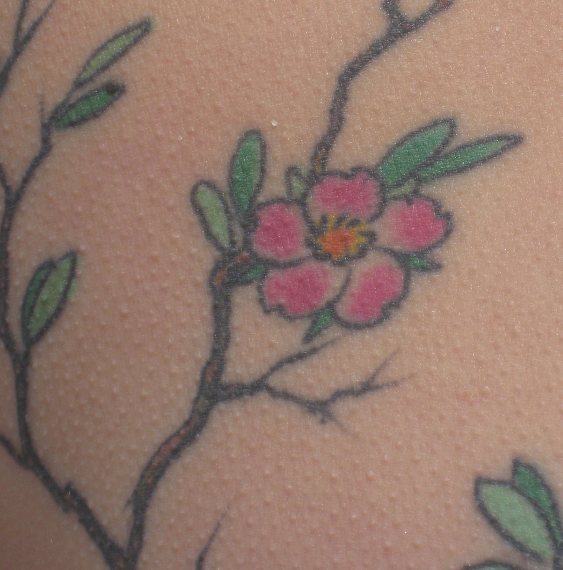 Laura's tatoo
