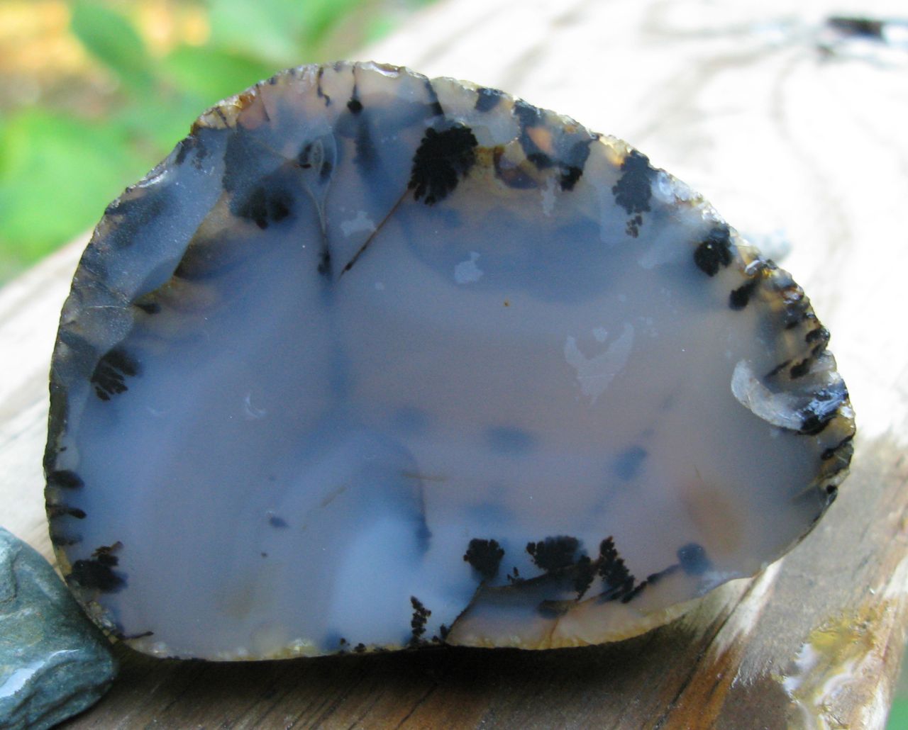 Montana Agate cut in half