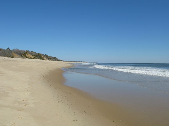 Beach with bluffs on the left (looking east)