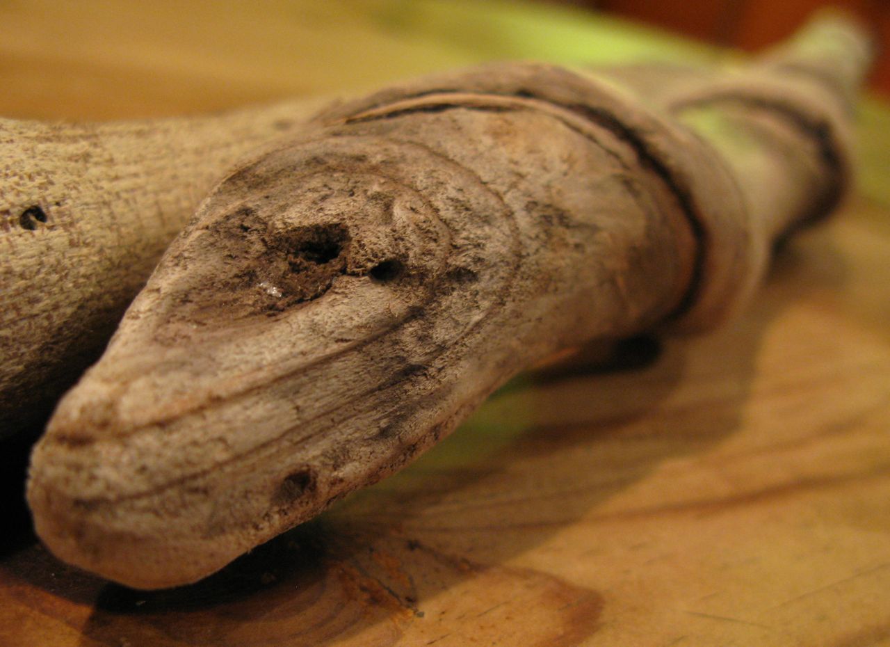 Twisted stick with snake head