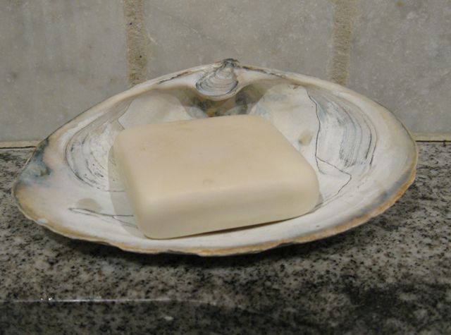 soap dish_0237